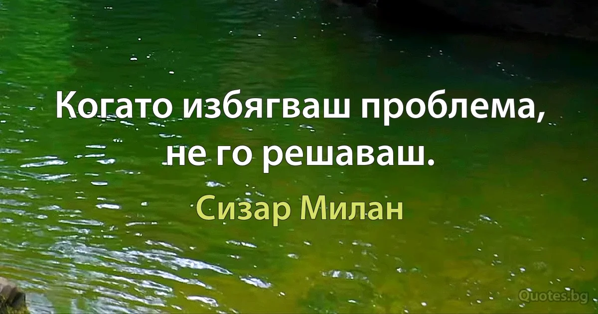 Когато избягваш проблема, не го решаваш. (Сизар Милан)