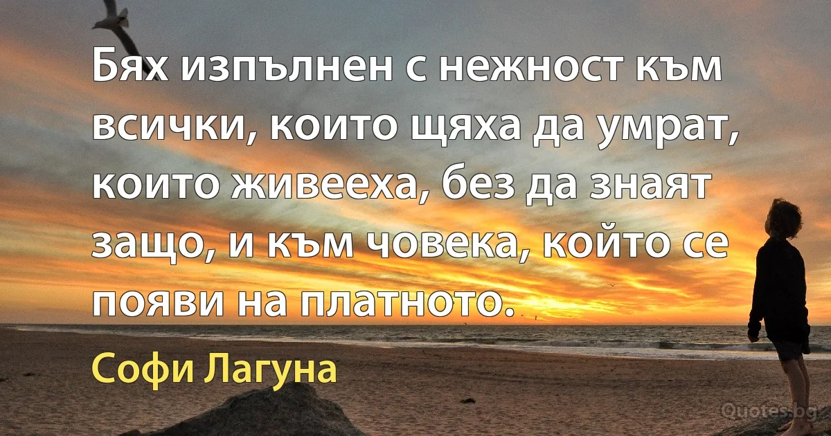 Бях изпълнен с нежност към всички, които щяха да умрат, които живееха, без да знаят защо, и към човека, който се появи на платното. (Софи Лагуна)