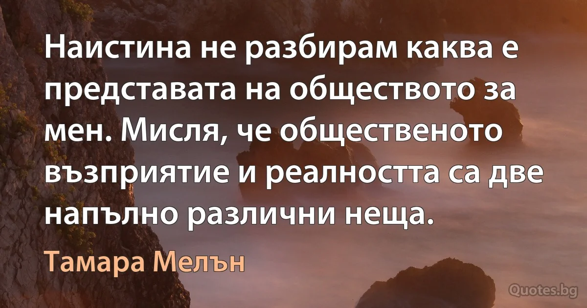 Наистина не разбирам каква е представата на обществото за мен. Мисля, че общественото възприятие и реалността са две напълно различни неща. (Тамара Мелън)