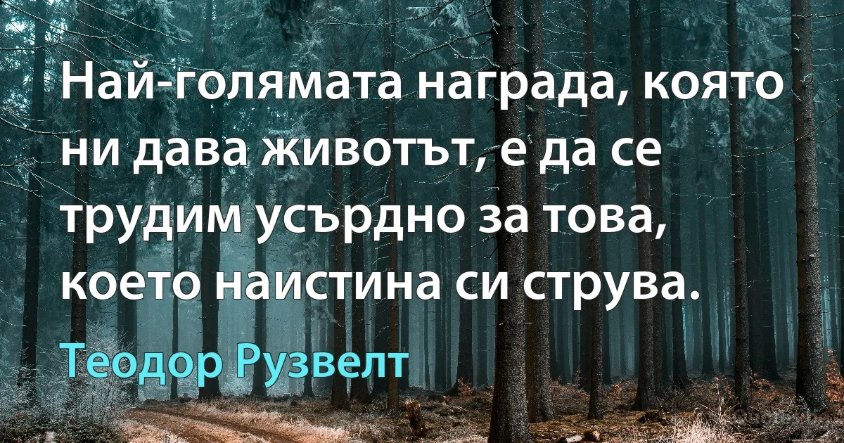 Най-голямата награда, която ни дава животът, е да се трудим усърдно за това, което наистина си струва. (Теодор Рузвелт)