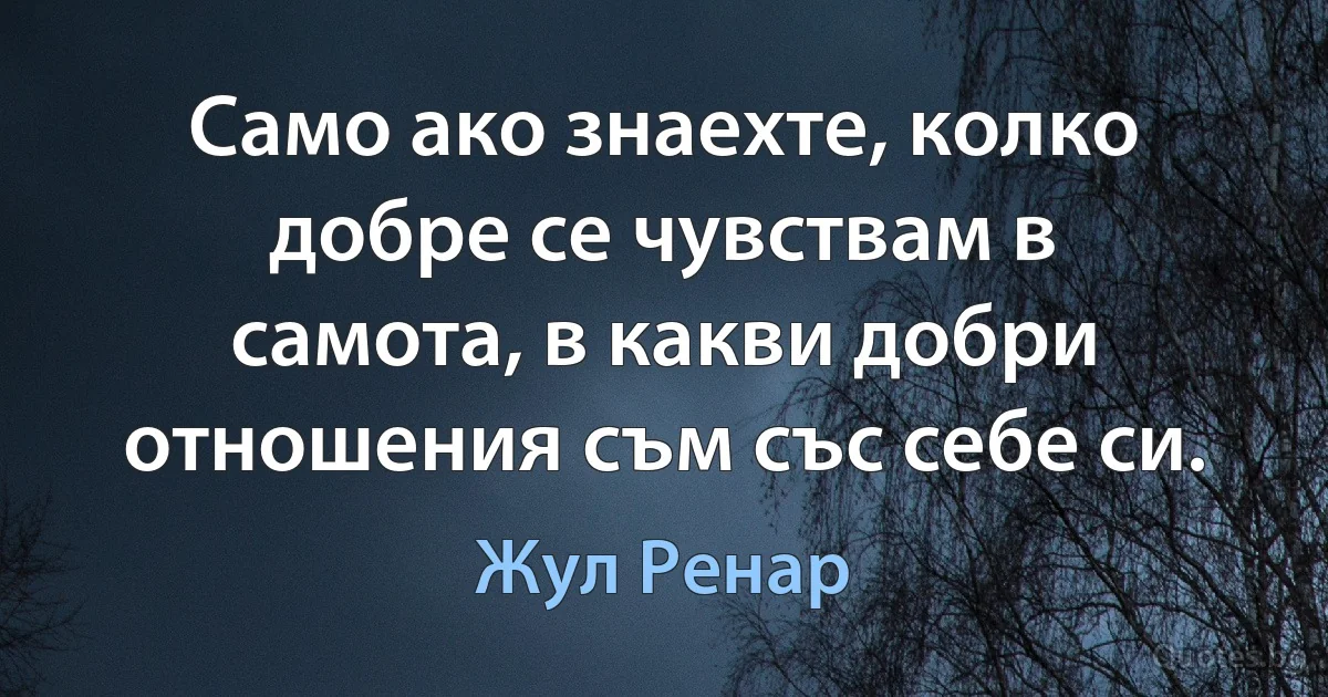 Само ако знаехте, колко добре се чувствам в самота, в какви добри отношения съм със себе си. (Жул Ренар)