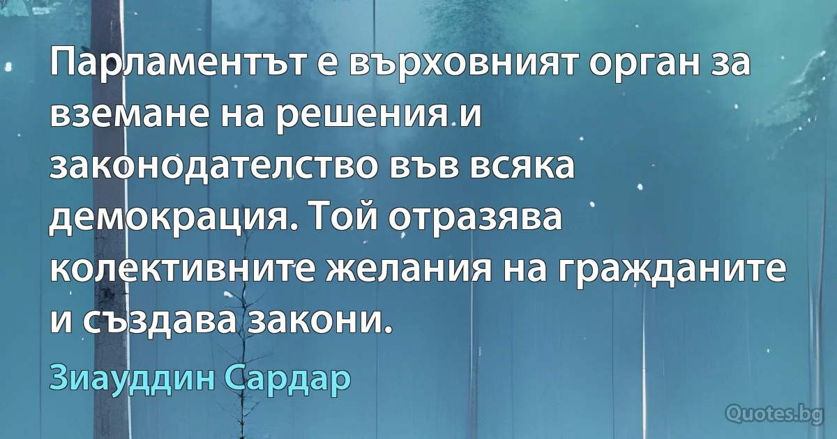 Парламентът е върховният орган за вземане на решения и законодателство във всяка демокрация. Той отразява колективните желания на гражданите и създава закони. (Зиауддин Сардар)