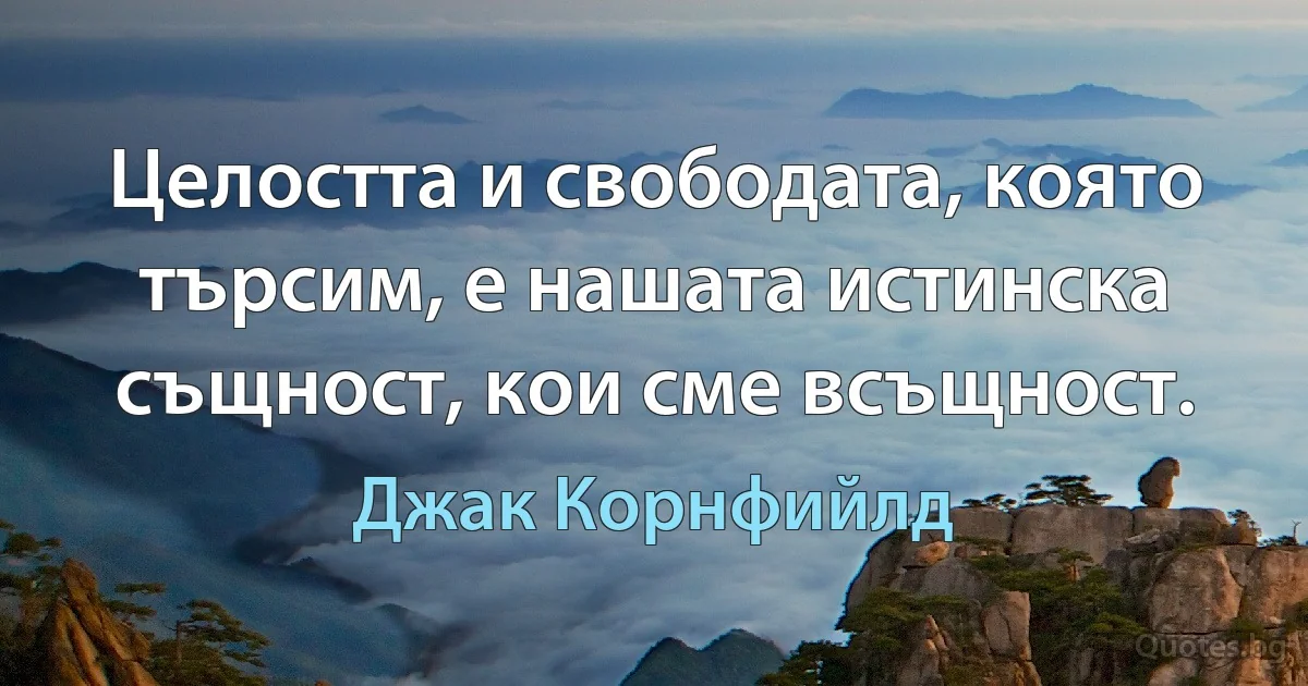 Целостта и свободата, която търсим, е нашата истинска същност, кои сме всъщност. (Джак Корнфийлд)