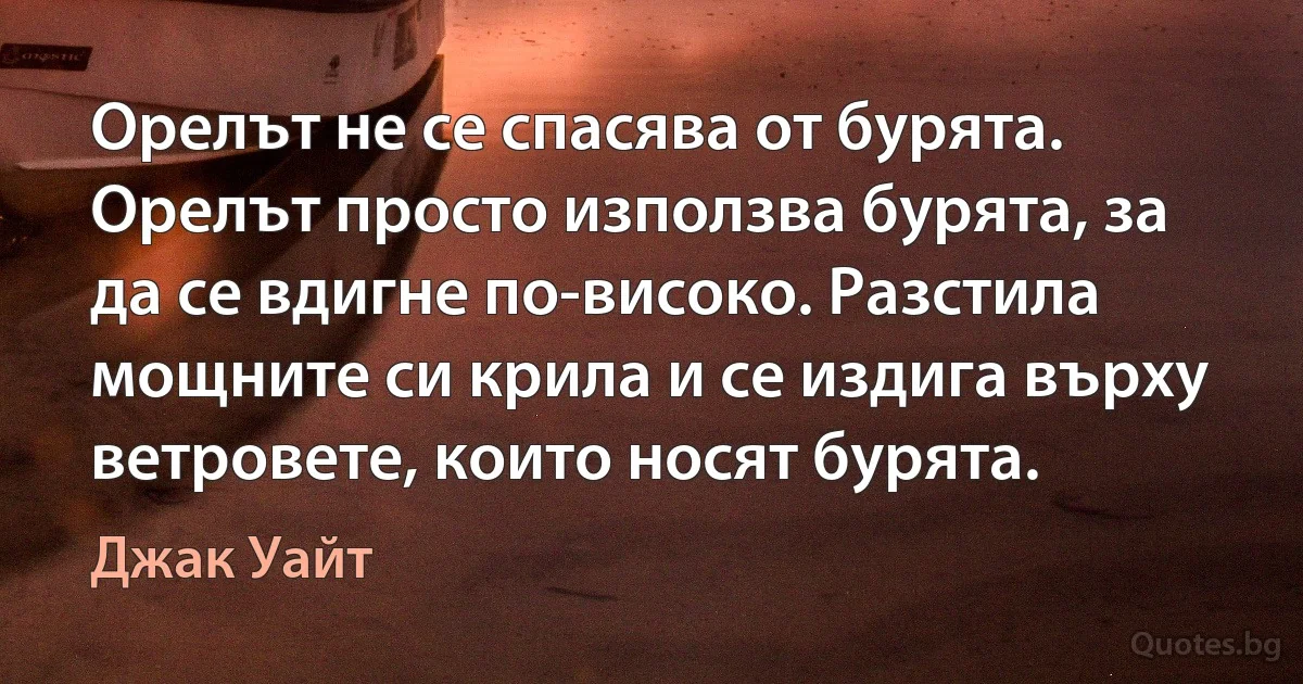 Орелът не се спасява от бурята. Орелът просто използва бурята, за да се вдигне по-високо. Разстила мощните си крила и се издига върху ветровете, които носят бурята. (Джак Уайт)