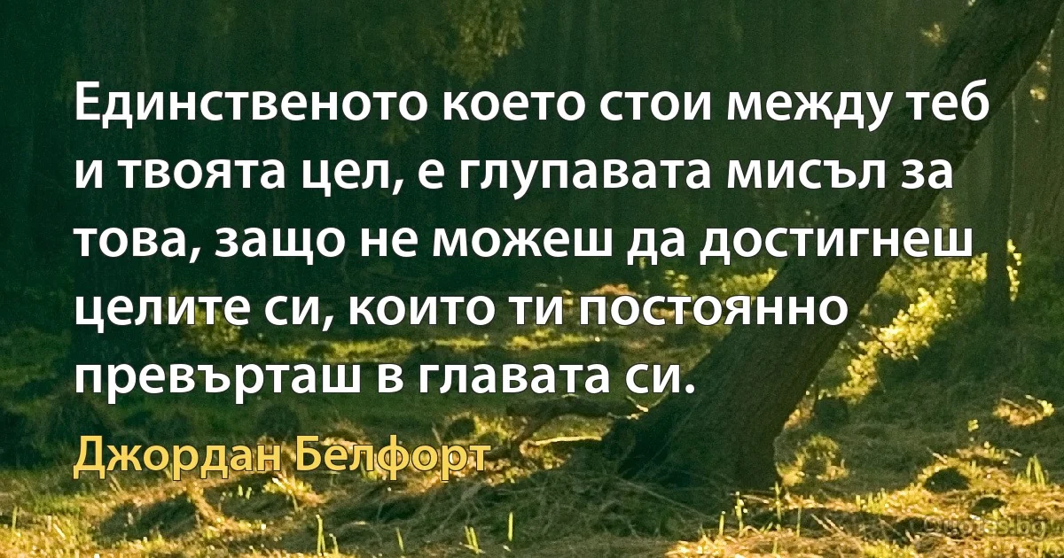 Единственото което стои между теб и твоята цел, е глупавата мисъл за това, защо не можеш да достигнеш целите си, които ти постоянно превърташ в главата си. (Джордан Белфорт)