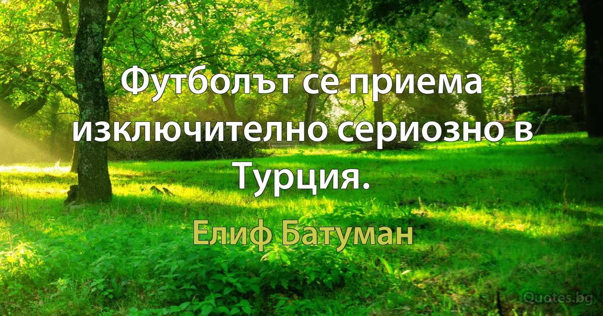 Футболът се приема изключително сериозно в Турция. (Елиф Батуман)