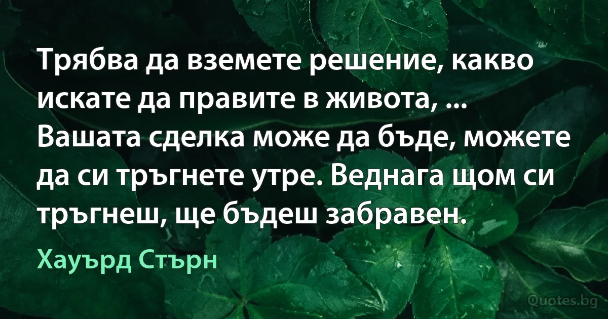 Трябва да вземете решение, какво искате да правите в живота, ... Вашата сделка може да бъде, можете да си тръгнете утре. Веднага щом си тръгнеш, ще бъдеш забравен. (Хауърд Стърн)