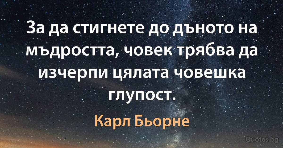 За да стигнете до дъното на мъдростта, човек трябва да изчерпи цялата човешка глупост. (Карл Бьорне)