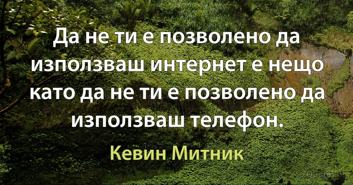 Да не ти е позволено да използваш интернет е нещо като да не ти е позволено да използваш телефон. (Кевин Митник)