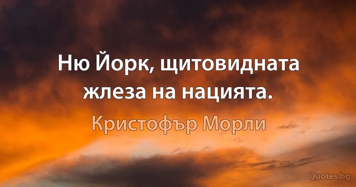 Ню Йорк, щитовидната жлеза на нацията. (Кристофър Морли)