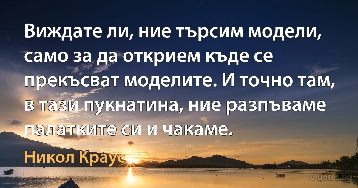 Виждате ли, ние търсим модели, само за да открием къде се прекъсват моделите. И точно там, в тази пукнатина, ние разпъваме палатките си и чакаме. (Никол Краус)