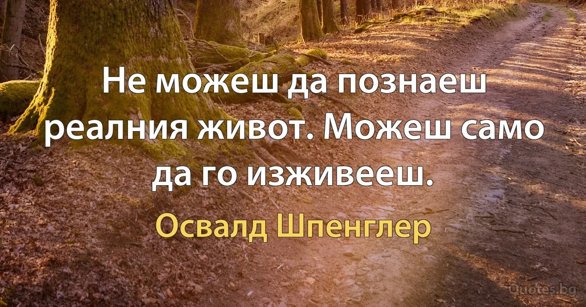 Не можеш да познаеш реалния живот. Можеш само да го изживееш. (Освалд Шпенглер)