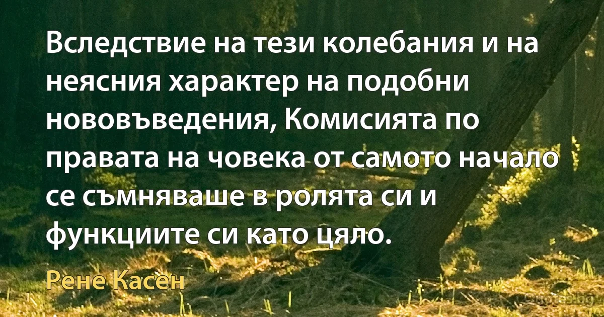 Вследствие на тези колебания и на неясния характер на подобни нововъведения, Комисията по правата на човека от самото начало се съмняваше в ролята си и функциите си като цяло. (Рене Касен)