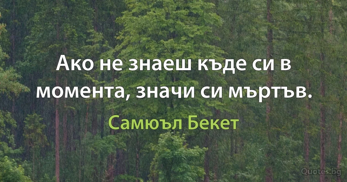 Ако не знаеш къде си в момента, значи си мъртъв. (Самюъл Бекет)