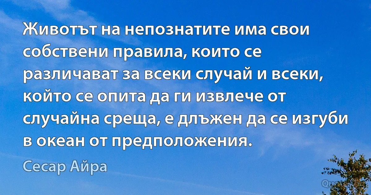 Животът на непознатите има свои собствени правила, които се различават за всеки случай и всеки, който се опита да ги извлече от случайна среща, е длъжен да се изгуби в океан от предположения. (Сесар Айра)