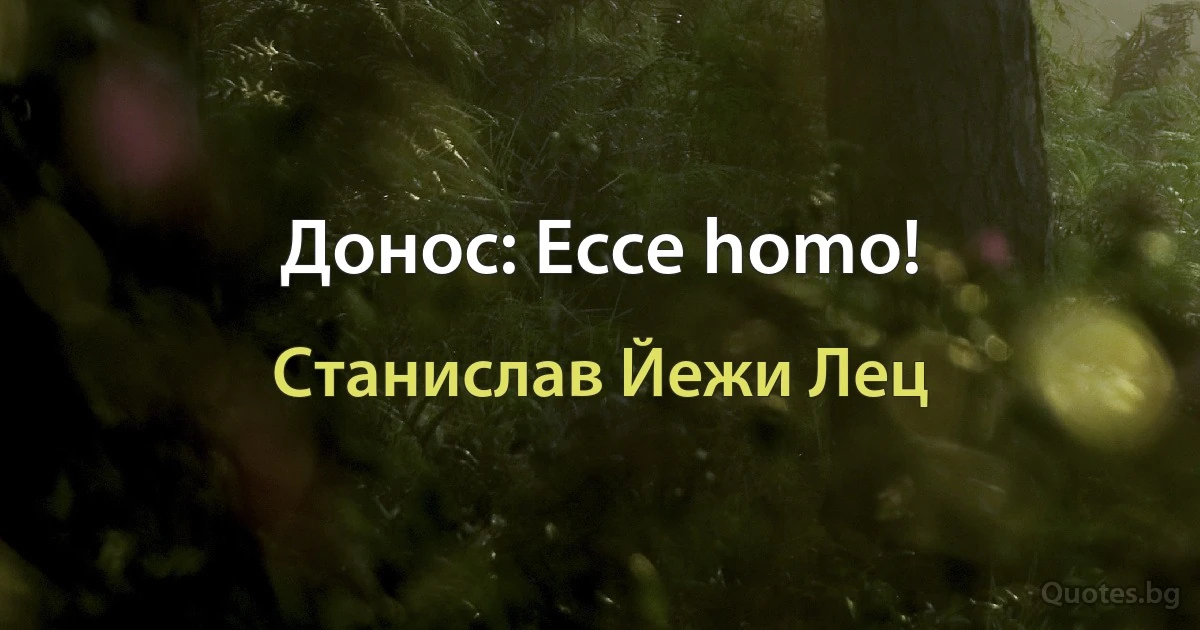 Донос: Ecce homo! (Станислав Йежи Лец)