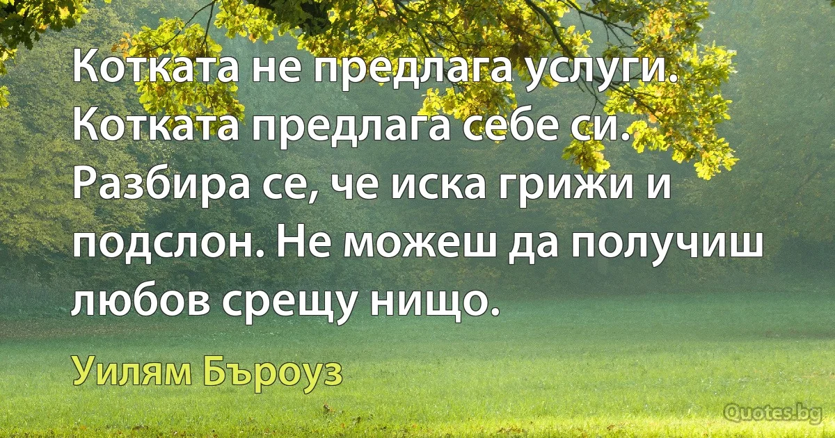 Котката не предлага услуги. Котката предлага себе си. Разбира се, че иска грижи и подслон. Не можеш да получиш любов срещу нищо. (Уилям Бъроуз)