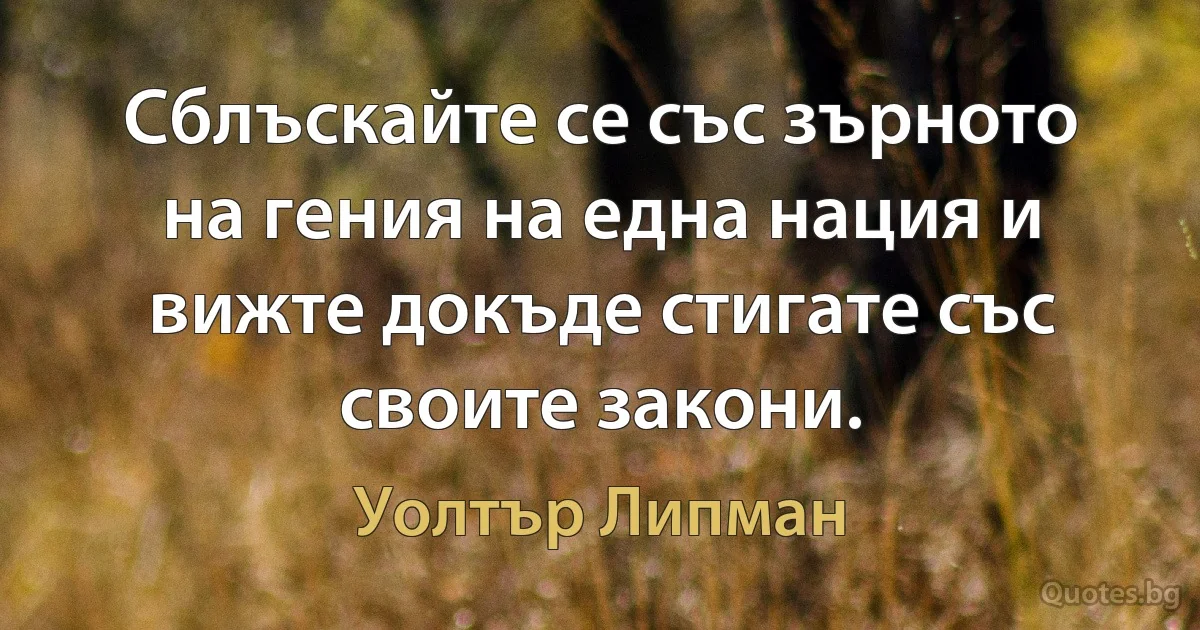 Сблъскайте се със зърното на гения на една нация и вижте докъде стигате със своите закони. (Уолтър Липман)