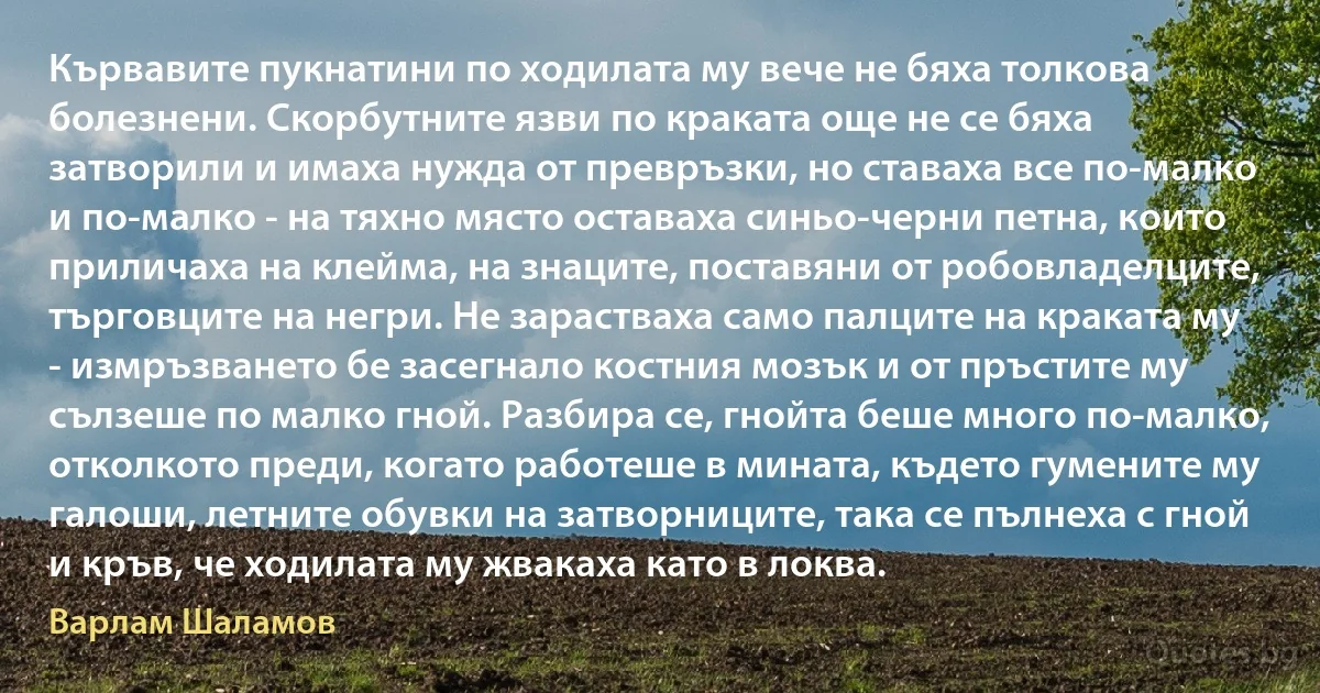 Кървавите пукнатини по ходилата му вече не бяха толкова болезнени. Скорбутните язви по краката още не се бяха затворили и имаха нужда от превръзки, но ставаха все по-малко и по-малко - на тяхно място оставаха синьо-черни петна, които приличаха на клейма, на знаците, поставяни от робовладелците, търговците на негри. Не зарастваха само палците на краката му - измръзването бе засегнало костния мозък и от пръстите му сълзеше по малко гной. Разбира се, гнойта беше много по-малко, отколкото преди, когато работеше в мината, където гумените му галоши, летните обувки на затворниците, така се пълнеха с гной и кръв, че ходилата му жвакаха като в локва. (Варлам Шаламов)