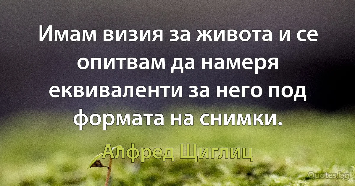 Имам визия за живота и се опитвам да намеря еквиваленти за него под формата на снимки. (Алфред Щиглиц)