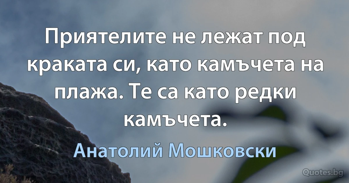 Приятелите не лежат под краката си, като камъчета на плажа. Те са като редки камъчета. (Анатолий Мошковски)