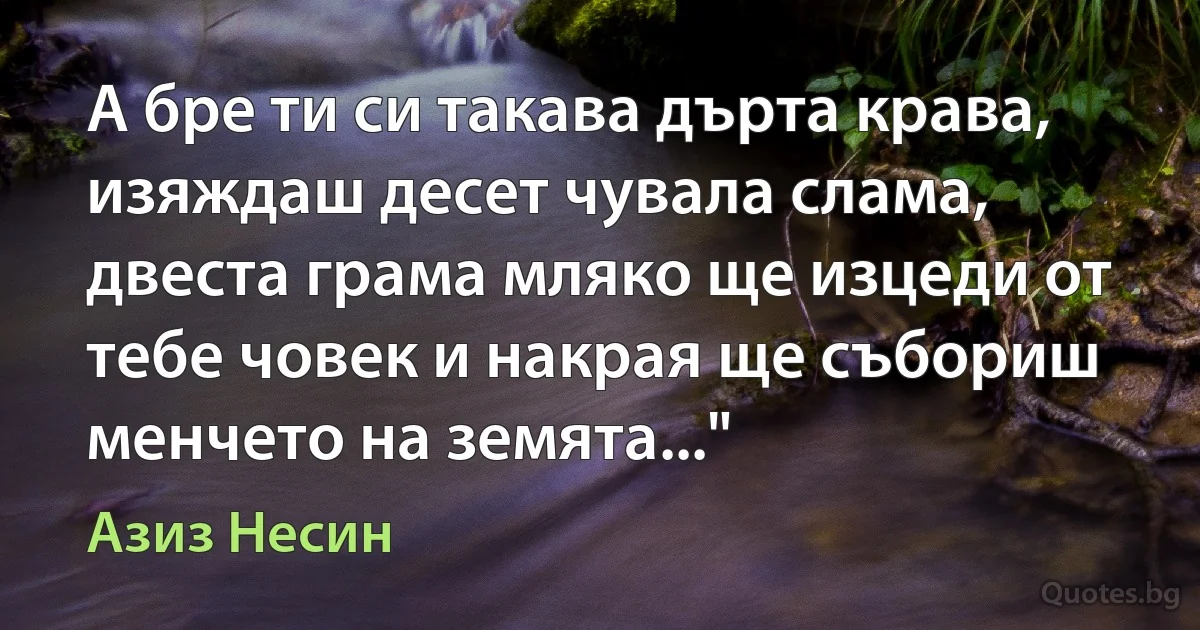 А бре ти си такава дърта крава, изяждаш десет чувала слама, двеста грама мляко ще изцеди от тебе човек и накрая ще събориш менчето на земята..." (Азиз Несин)