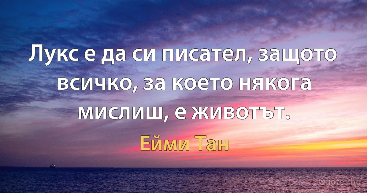 Лукс е да си писател, защото всичко, за което някога мислиш, е животът. (Ейми Тан)