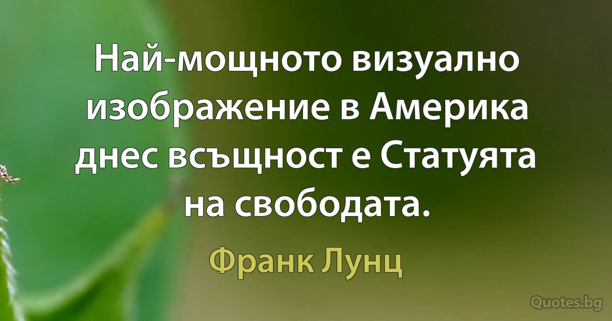 Най-мощното визуално изображение в Америка днес всъщност е Статуята на свободата. (Франк Лунц)