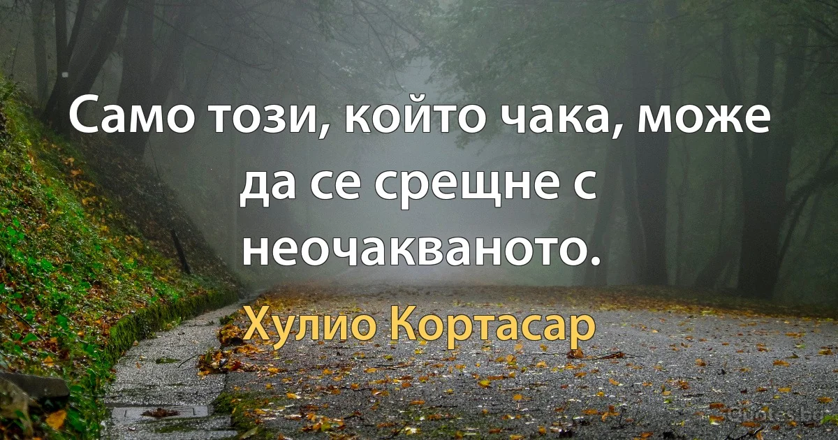 Само този, който чака, може да се срещне с неочакваното. (Хулио Кортасар)