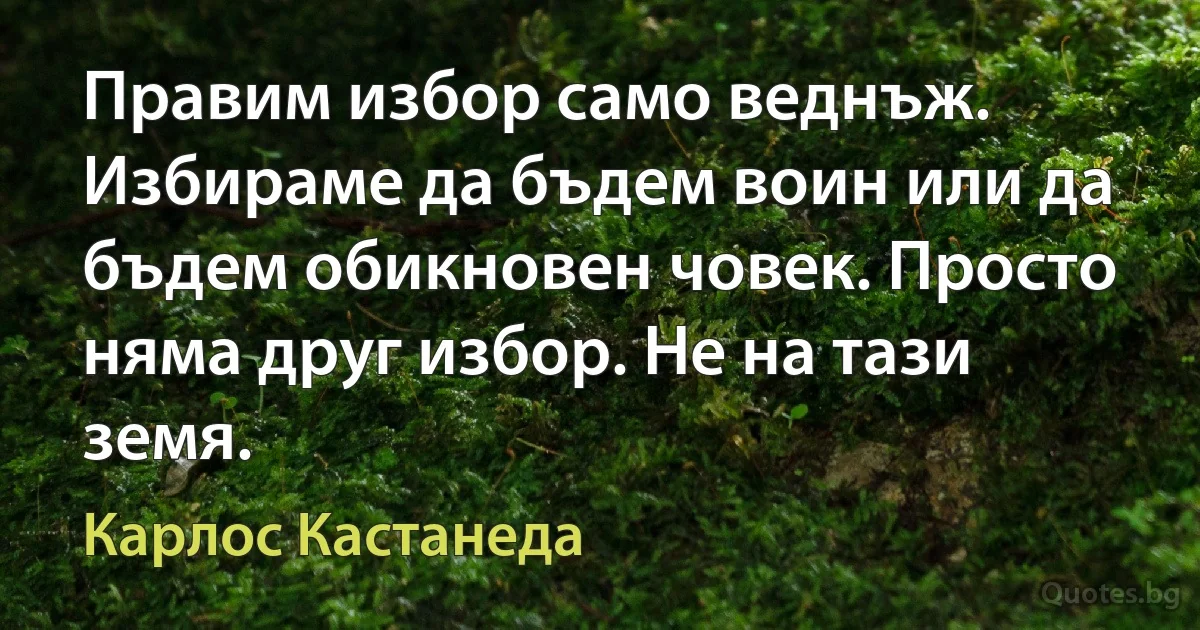 Правим избор само веднъж. Избираме да бъдем воин или да бъдем обикновен човек. Просто няма друг избор. Не на тази земя. (Карлос Кастанеда)