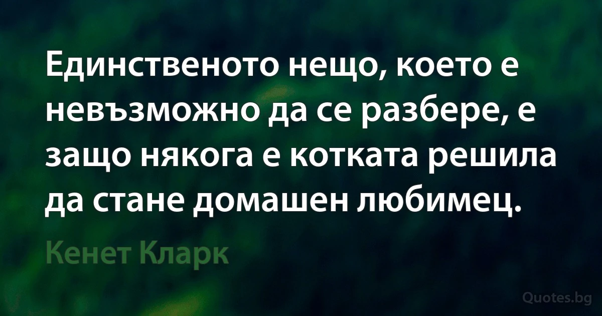 Единственото нещо, което е невъзможно да се разбере, е защо някога е котката решила да стане домашен любимец. (Кенет Кларк)