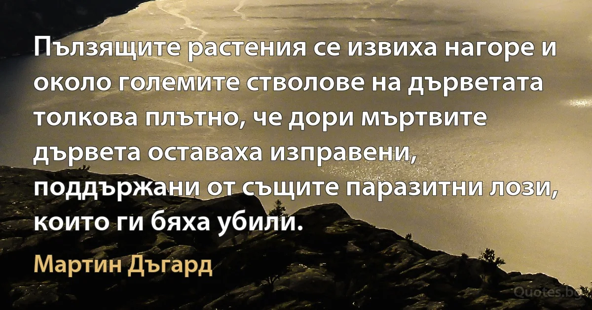 Пълзящите растения се извиха нагоре и около големите стволове на дърветата толкова плътно, че дори мъртвите дървета оставаха изправени, поддържани от същите паразитни лози, които ги бяха убили. (Мартин Дъгард)