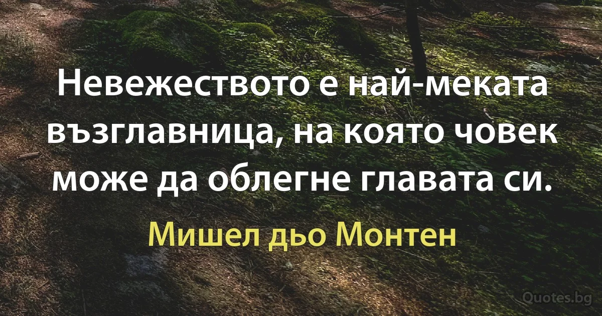 Невежеството е най-меката възглавница, на която човек може да облегне главата си. (Мишел дьо Монтен)