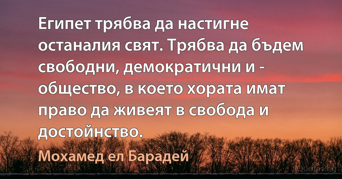 Египет трябва да настигне останалия свят. Трябва да бъдем свободни, демократични и - общество, в което хората имат право да живеят в свобода и достойнство. (Мохамед ел Барадей)