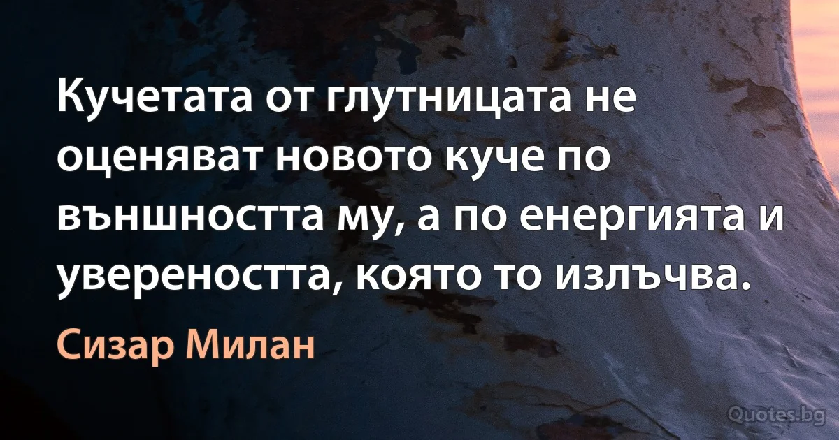 Кучетата от глутницата не оценяват новото куче по външността му, а по енергията и увереността, която то излъчва. (Сизар Милан)