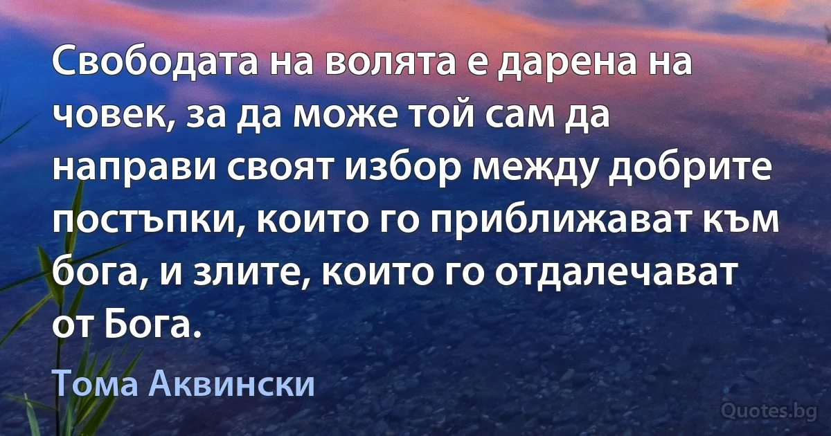 Свободата на волята е дарена на човек, за да може той сам да направи своят избор между добрите постъпки, които го приближават към бога, и злите, които го отдалечават от Бога. (Тома Аквински)