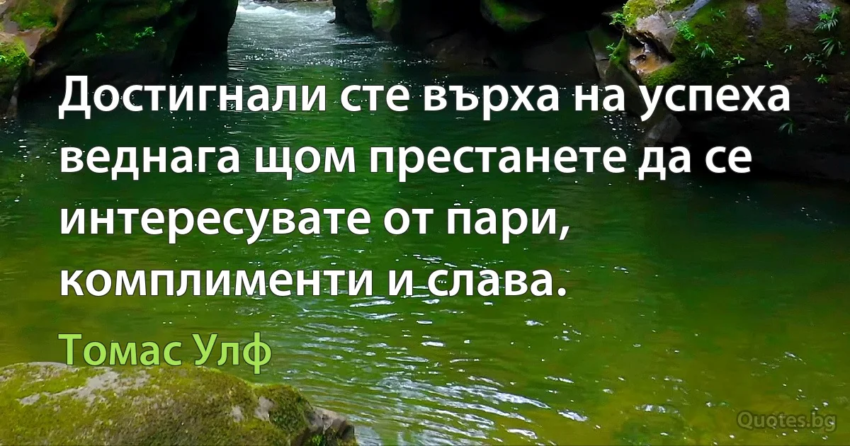 Достигнали сте върха на успеха веднага щом престанете да се интересувате от пари, комплименти и слава. (Томас Улф)