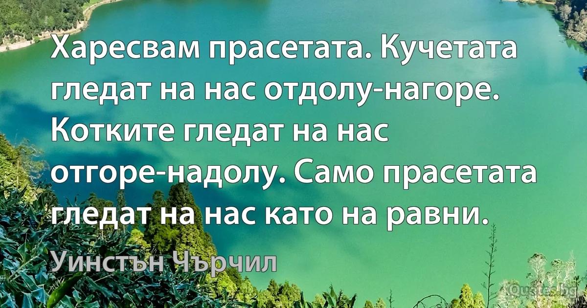 Харесвам прасетата. Кучетата гледат на нас отдолу-нагоре. Котките гледат на нас отгоре-надолу. Само прасетата гледат на нас като на равни. (Уинстън Чърчил)