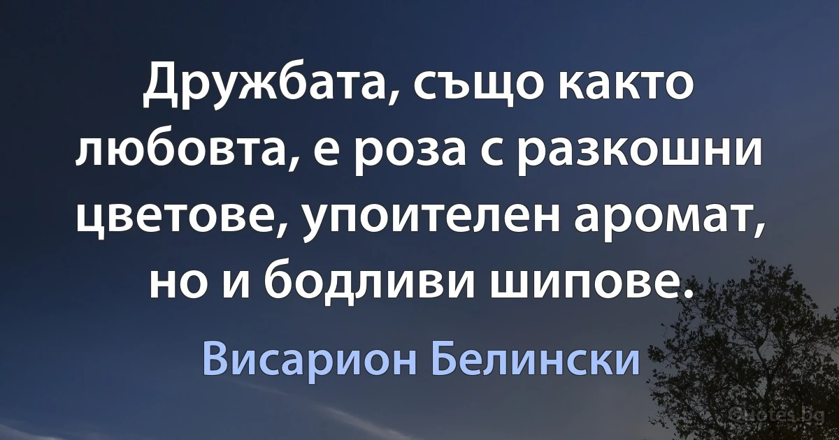 Дружбата, също както любовта, е роза с разкошни цветове, упоителен аромат, но и бодливи шипове. (Висарион Белински)