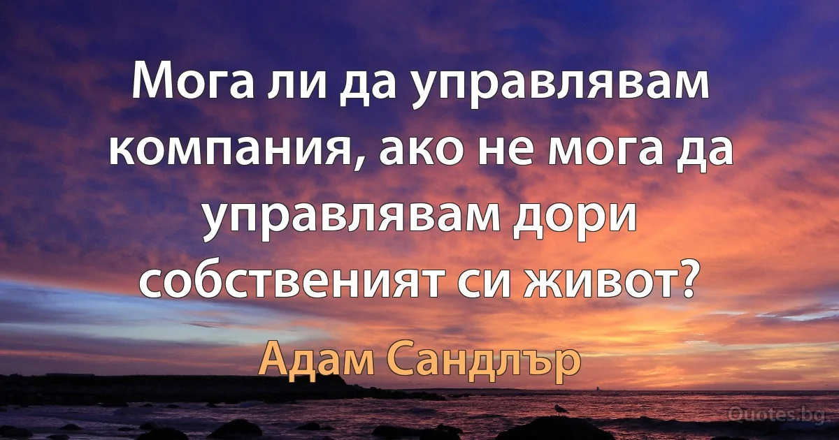 Мога ли да управлявам компания, ако не мога да управлявам дори собственият си живот? (Адам Сандлър)