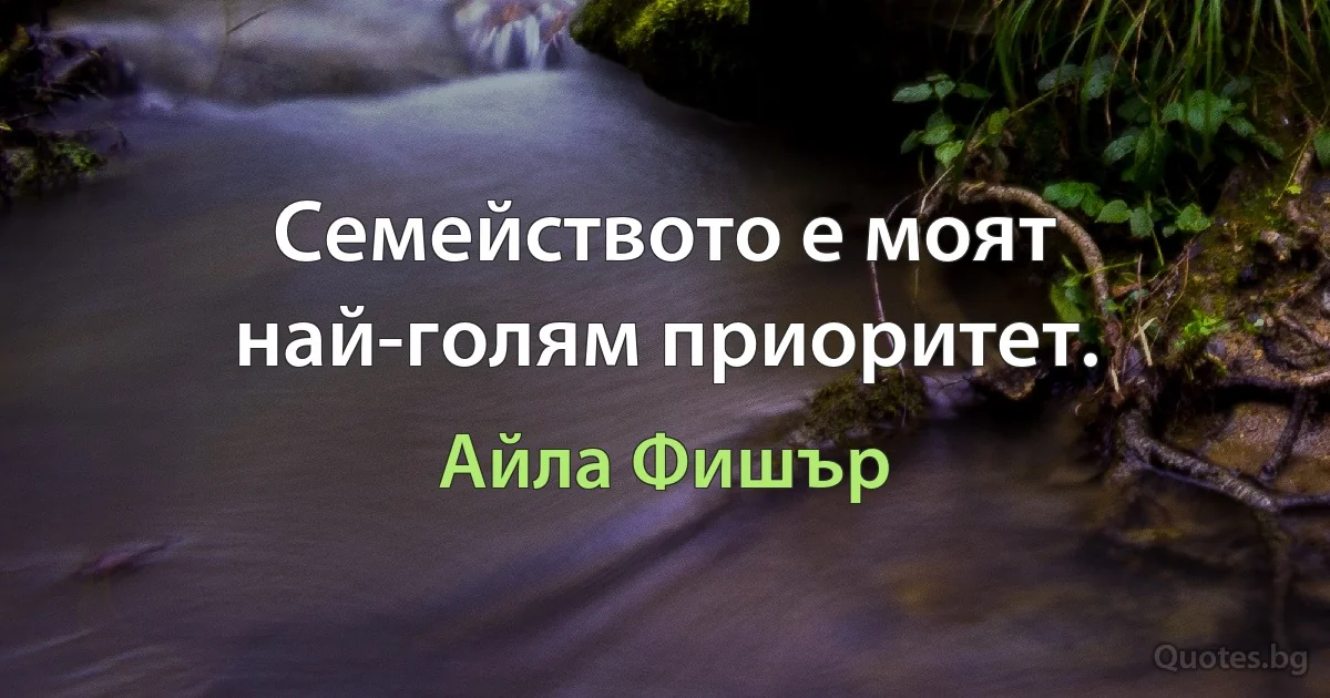 Семейството е моят най-голям приоритет. (Айла Фишър)