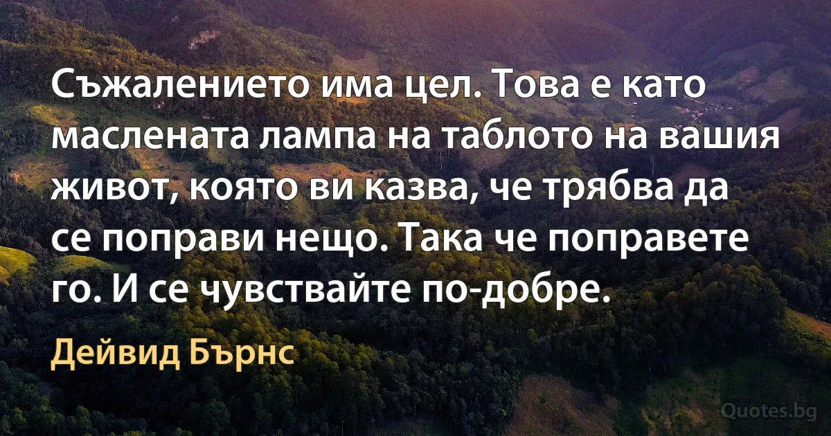 Съжалението има цел. Това е като маслената лампа на таблото на вашия живот, която ви казва, че трябва да се поправи нещо. Така че поправете го. И се чувствайте по-добре. (Дейвид Бърнс)