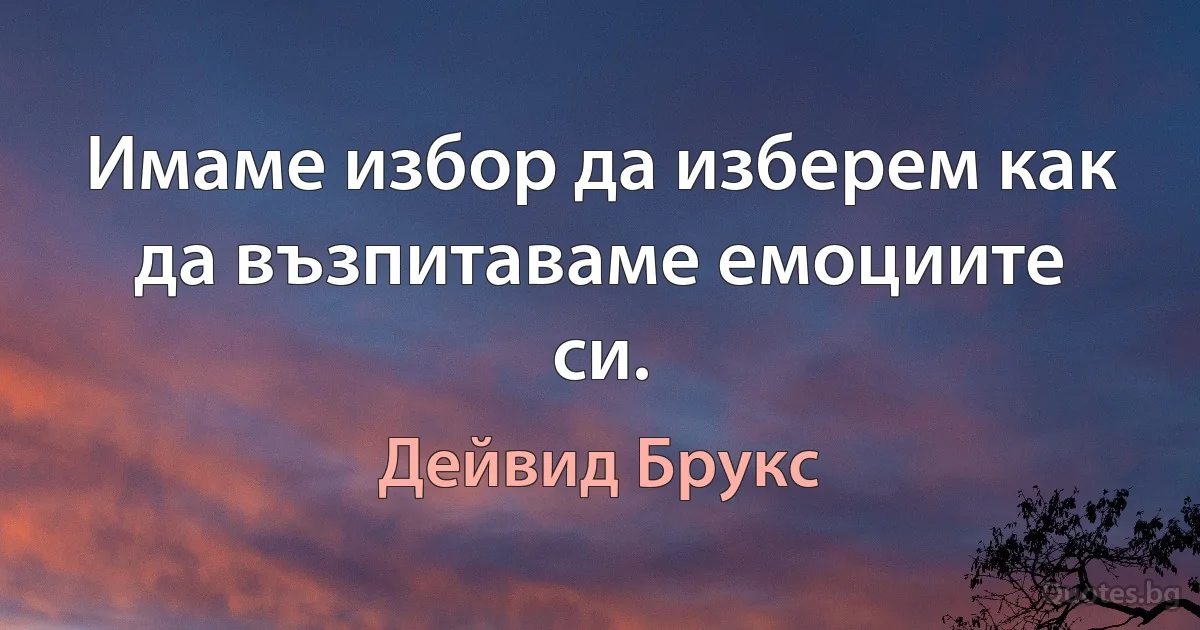 Имаме избор да изберем как да възпитаваме емоциите си. (Дейвид Брукс)