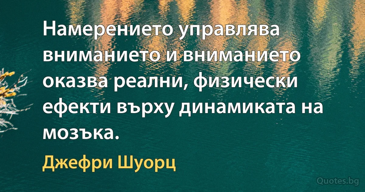 Намерението управлява вниманието и вниманието оказва реални, физически ефекти върху динамиката на мозъка. (Джефри Шуорц)