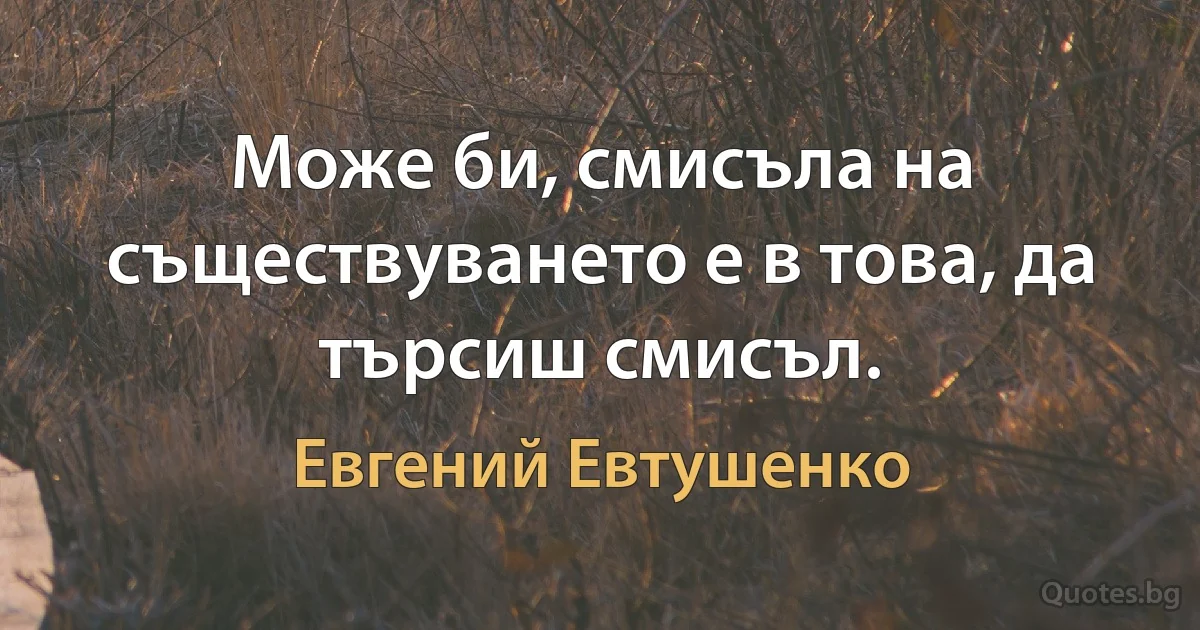 Може би, смисъла на съществуването е в това, да търсиш смисъл. (Евгений Евтушенко)