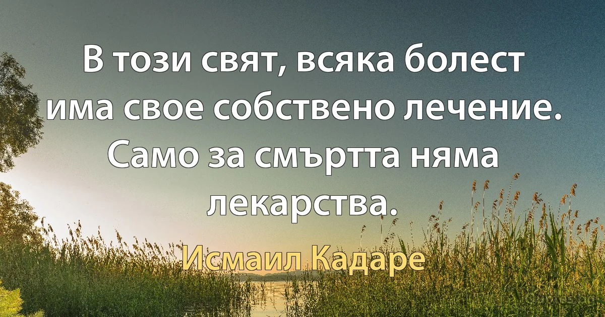 В този свят, всяка болест има свое собствено лечение. Само за смъртта няма лекарства. (Исмаил Кадаре)