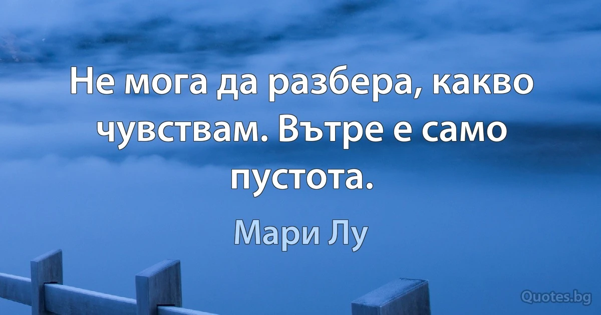 Не мога да разбера, какво чувствам. Вътре е само пустота. (Мари Лу)