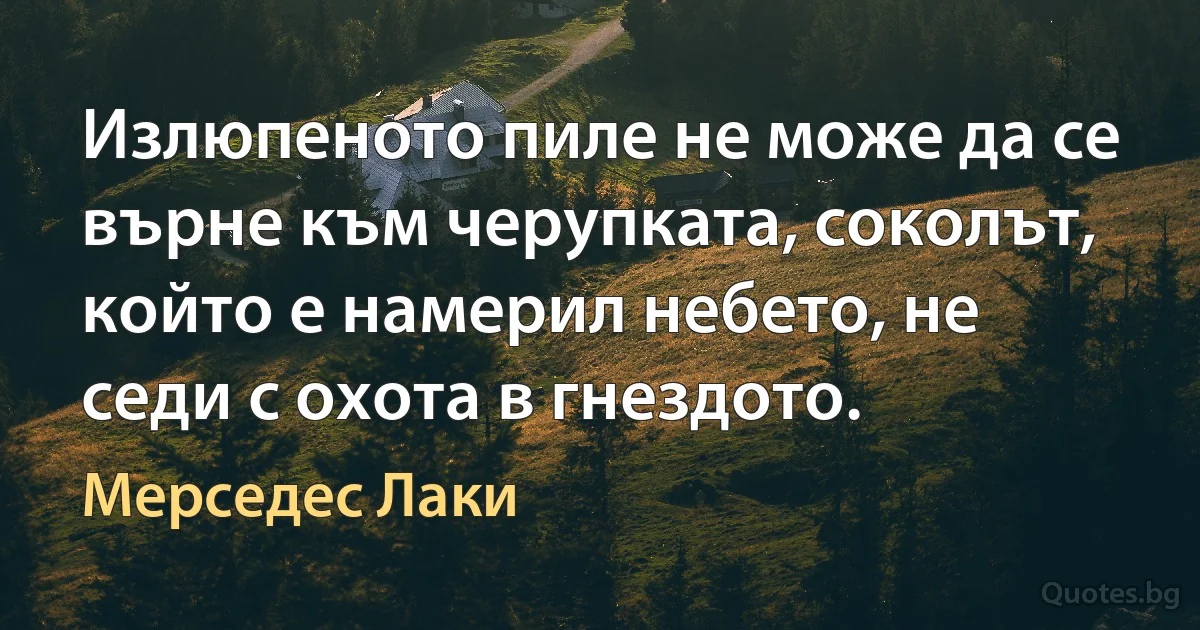 Излюпеното пиле не може да се върне към черупката, соколът, който е намерил небето, не седи с охота в гнездото. (Мерседес Лаки)