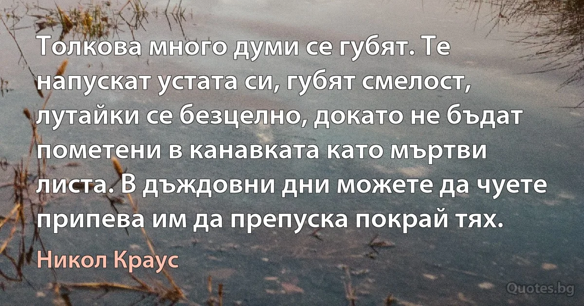 Толкова много думи се губят. Те напускат устата си, губят смелост, лутайки се безцелно, докато не бъдат пометени в канавката като мъртви листа. В дъждовни дни можете да чуете припева им да препуска покрай тях. (Никол Краус)