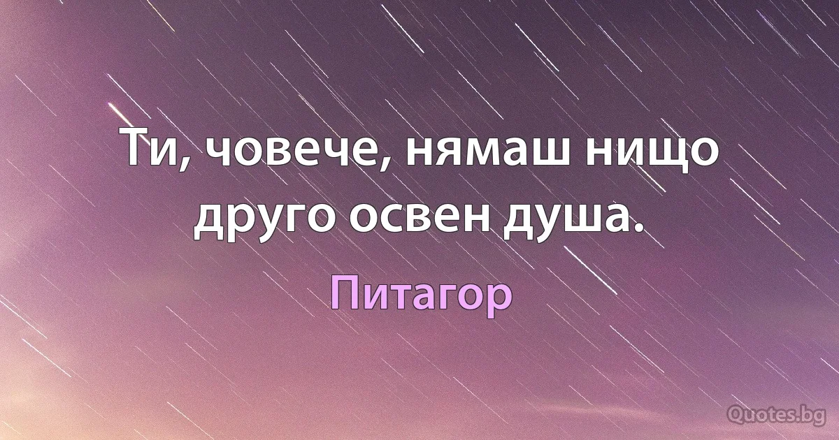 Ти, човече, нямаш нищо друго освен душа. (Питагор)